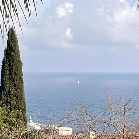 Вилла Pop Monaco *