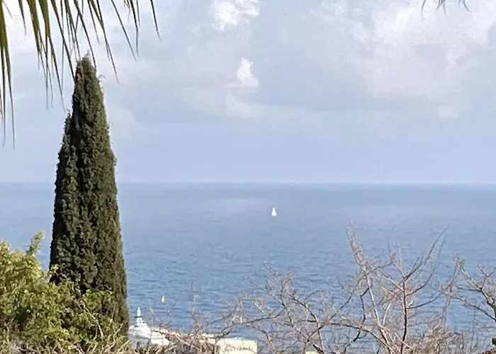 فيلة Pop Monaco *